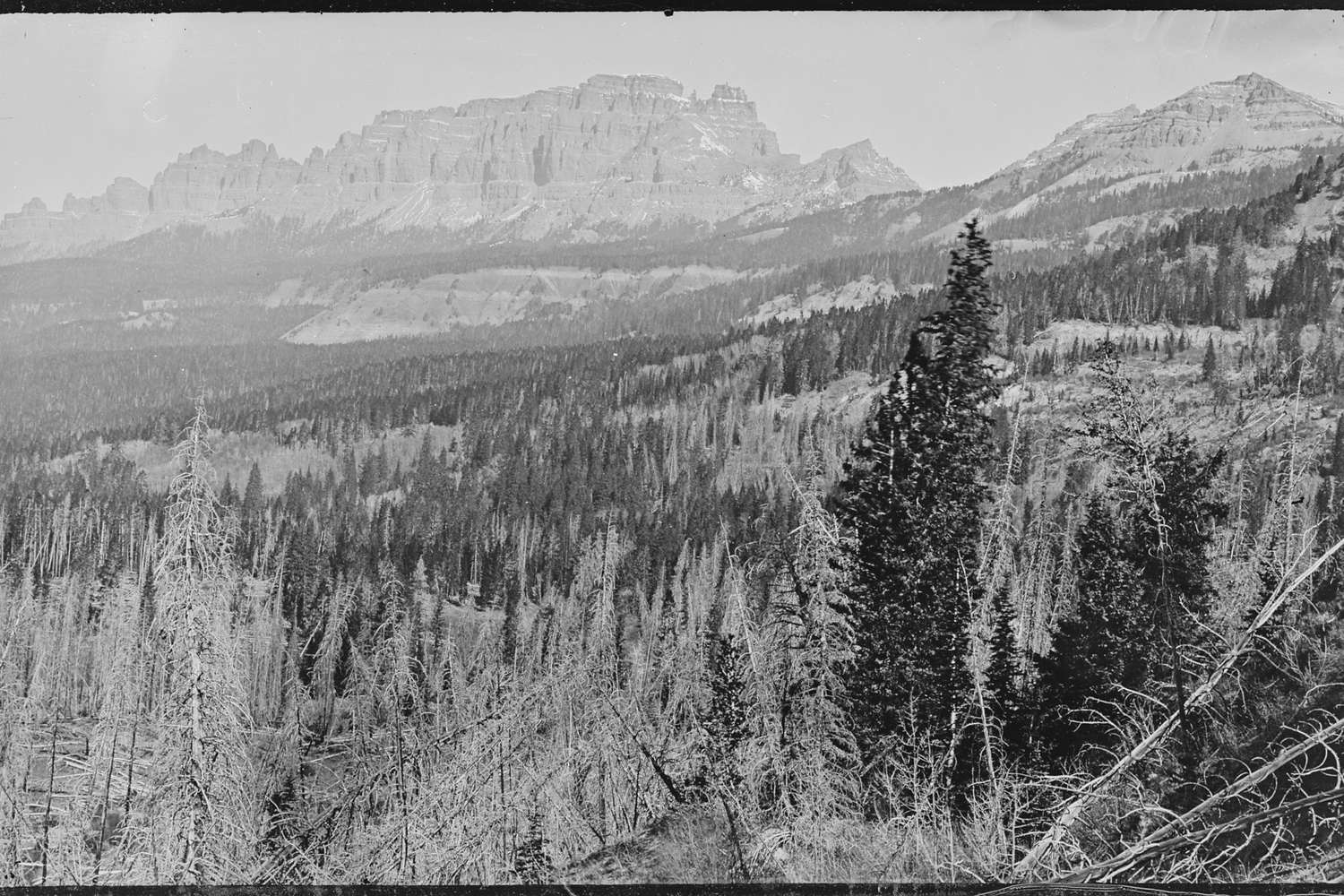 A nineteenth century view from Togwotee Pass across timbered slopes to a line of layered cliffs.