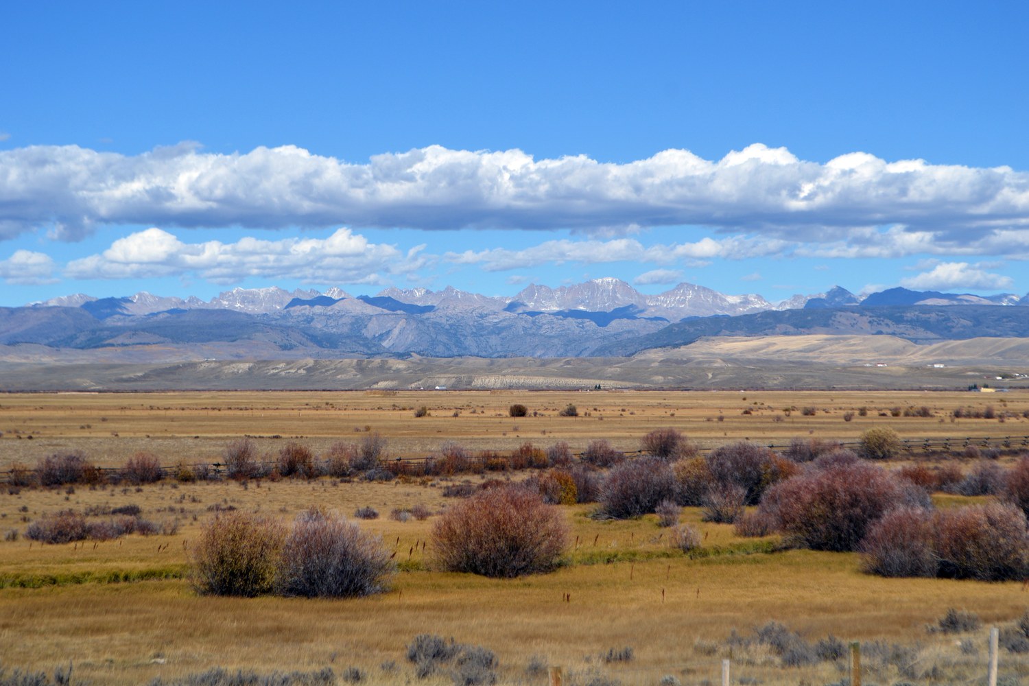 The Wind River Range on the skyline beyond willows and pasture in the upper Green River valley.